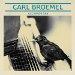 Carl Broemel - <i>All Birds Say</i>