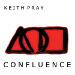 Keith Pray - <i>Confluence</i>