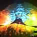 Shpongle + Phutureprimitive