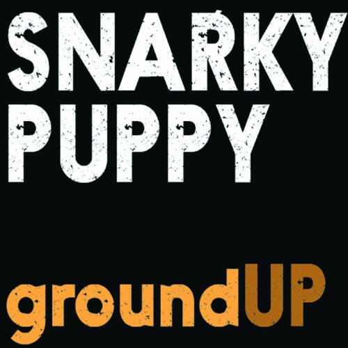 Snarky Puppy Binky