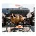 Wilco - <i>Wilco (the Album)</i>